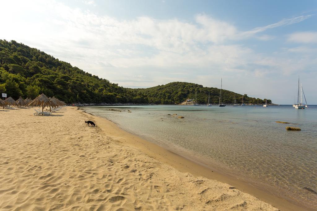 Pine Tree Boutique Apartments Saplunara Kültér fotó